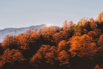 友邦重疾險(xiǎn)保費(fèi)