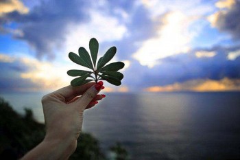 重疾險哪款便宜