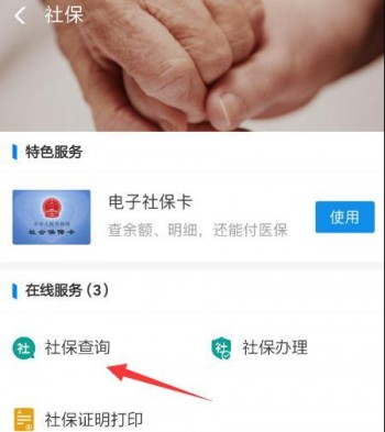 電子社保卡怎么查余額