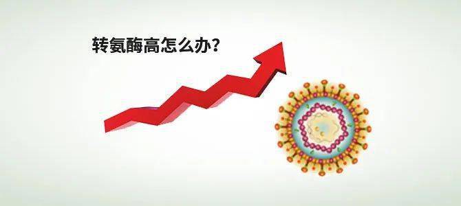 轉氨酶高可以買重疾險嗎