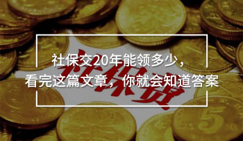 社保交20年能領多少