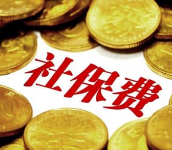 社保繳納記錄去哪里查詢？詳解社保繳納記錄查詢方法