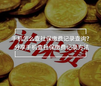 手機怎么查社保繳費記錄查詢？分享手機查社保繳費記錄方法