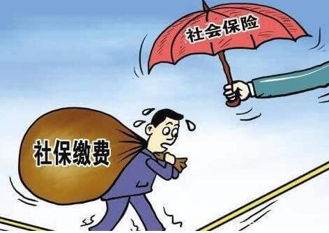 社保費(fèi)網(wǎng)上怎么繳納