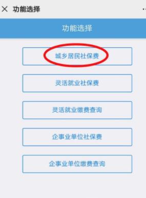 怎樣查個人社保繳納情況查詢，斷繳后有什么影響！