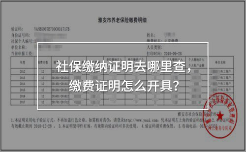 社保繳納證明去哪里查，繳費證明怎么開具！