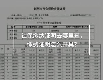 社保繳納證明去哪里查，繳費(fèi)證明怎么開具？