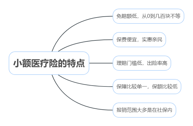 小額醫(yī)療險