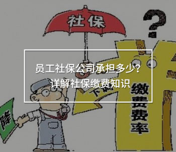 員工社保公司承擔(dān)多少？詳解社保繳費知識