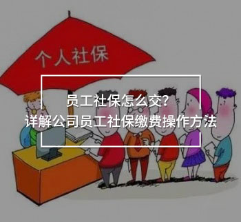 員工社保怎么交？詳解公司員工社保繳費操作方法