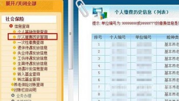 北京社保繳納記錄去哪里查，有哪幾種方法