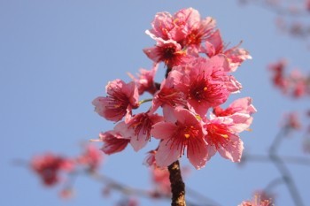 中國人壽保險百萬醫(yī)療險 