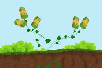增額終身壽險與年金險的區(qū)別