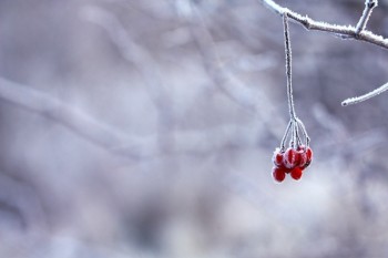 百萬(wàn)醫(yī)療險(xiǎn)哪個(gè)最靠譜 