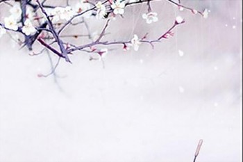 太平超e?？孔V嗎？為什么？  