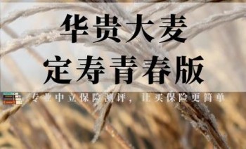 大麥正青春定期壽險有什么特點 青春定期壽險適合哪些人