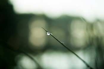 分紅險(xiǎn)附加重疾險(xiǎn)是什么意思