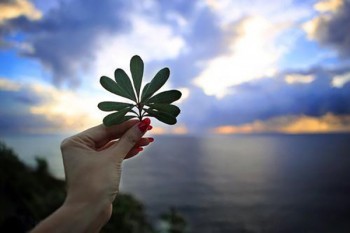 寶寶重疾險(xiǎn)