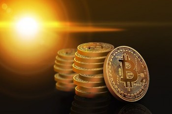 常見的重疾險(xiǎn)賠付比例