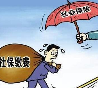 社保怎么進行網(wǎng)上繳費