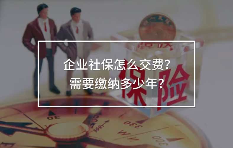 企業(yè)社保怎么交費(fèi)