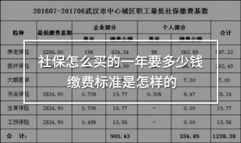 社保怎么買(mǎi)的一年要多少錢(qián)