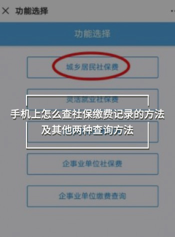 手機上怎么查社保繳費記錄