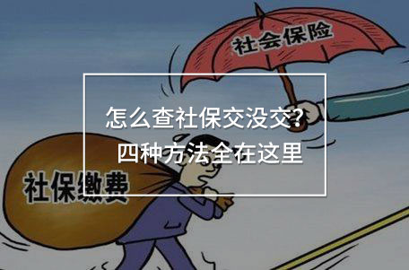 怎么查社保交沒交