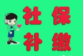 社保補繳機構(gòu)