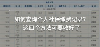 如何查詢個人社保繳費記錄