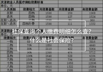 社保查詢個人繳費明細(xì)怎么查？什么是社會保險？