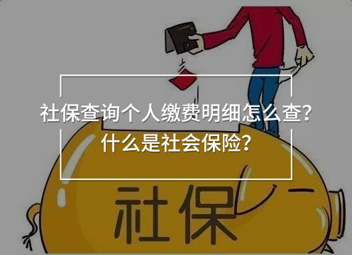 社保查詢個人繳費明細怎么查？什么是社會保險？