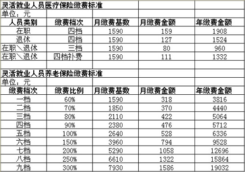 怎么查詢查詢個人社保繳費明細？