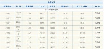 怎么查詢查詢個人社保繳費明細？