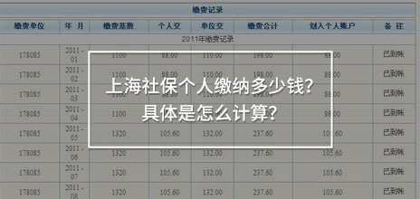 上海社保個(gè)人繳納多少錢