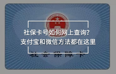 社?？ㄌ柸绾尉W(wǎng)上查詢