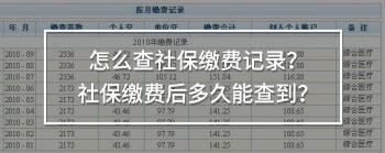 怎么查社保繳費記錄？社保繳費后多久能查到？
