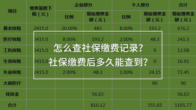 怎么查社保繳費記錄？社保繳費后多久能查到？