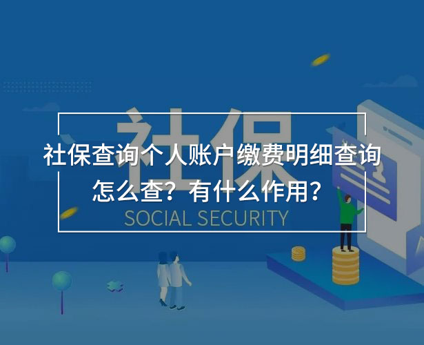社保查詢個人賬戶繳費(fèi)明細(xì)查詢怎么查