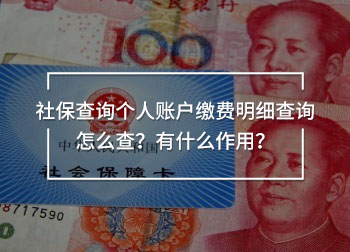 社保查詢個人賬戶繳費(fèi)明細(xì)查詢怎么查