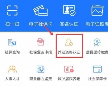 社會保險業(yè)務(wù)網(wǎng)站個人查詢方式有哪些？什么是社會保險？