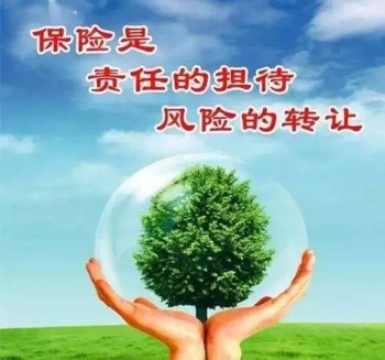 平安的重疾險可以單獨購買嗎？什么是單獨的重疾險？