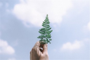 什么情況下買不了重疾險(xiǎn)