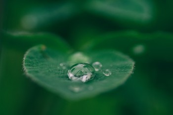 頻發(fā)室性早搏可以買(mǎi)重疾險(xiǎn)嗎