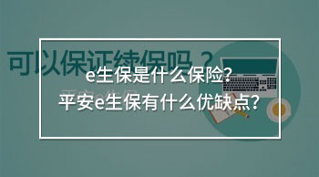 e生保是什么保險