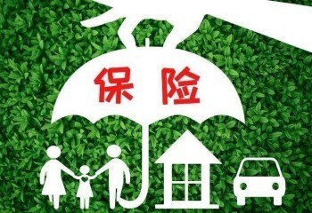 人保福終身壽險缺點