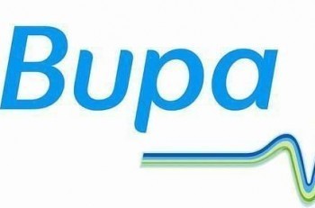 bupa保險(xiǎn)國(guó)內(nèi)怎么投保