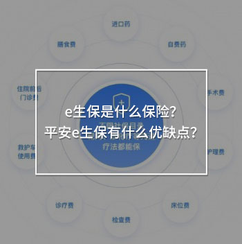 e生保是什么保險