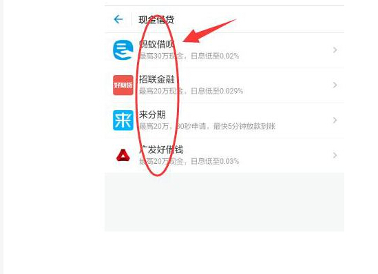支付寶里有哪些綠色借款通道？