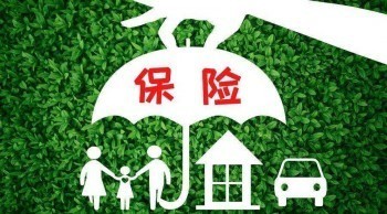 保險在猶豫期退保有損失嗎